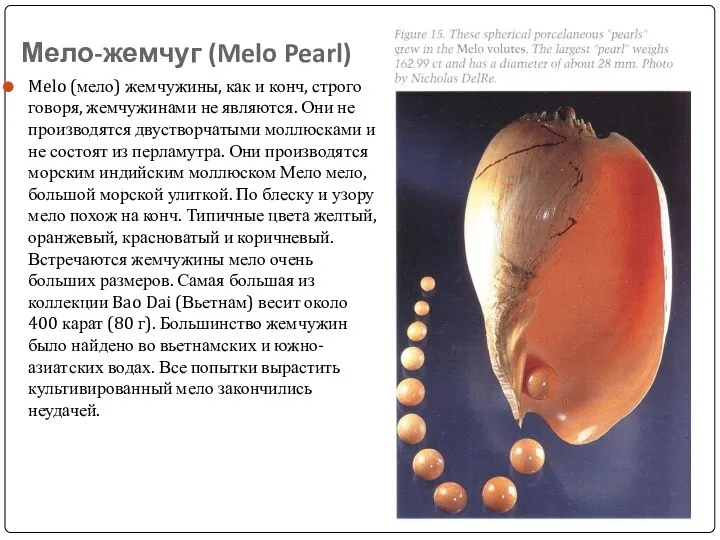 Мело-жемчуг (Melo Pearl) Melo (мело) жемчужины, как и конч, строго говоря,