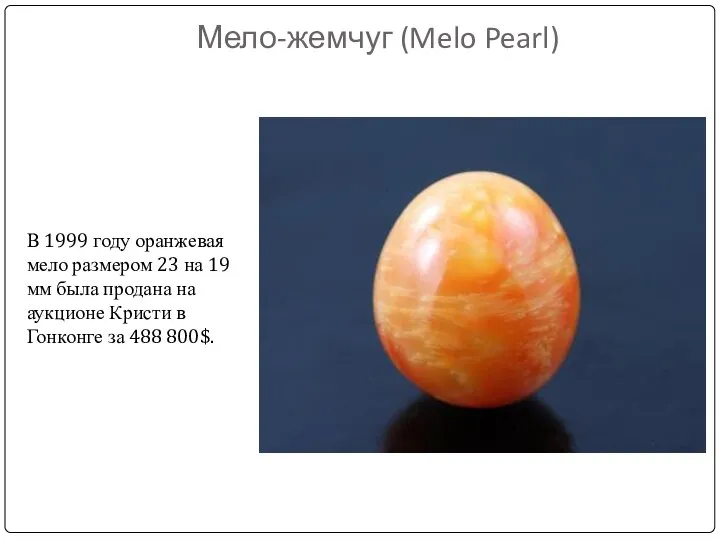 Мело-жемчуг (Melo Pearl) В 1999 году оранжевая мело размером 23 на