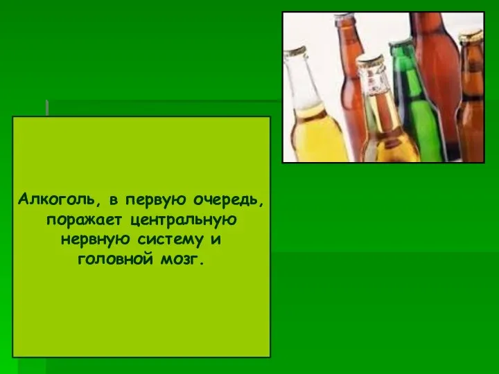 Алкоголь, в первую очередь, поражает центральную нервную систему и головной мозг.