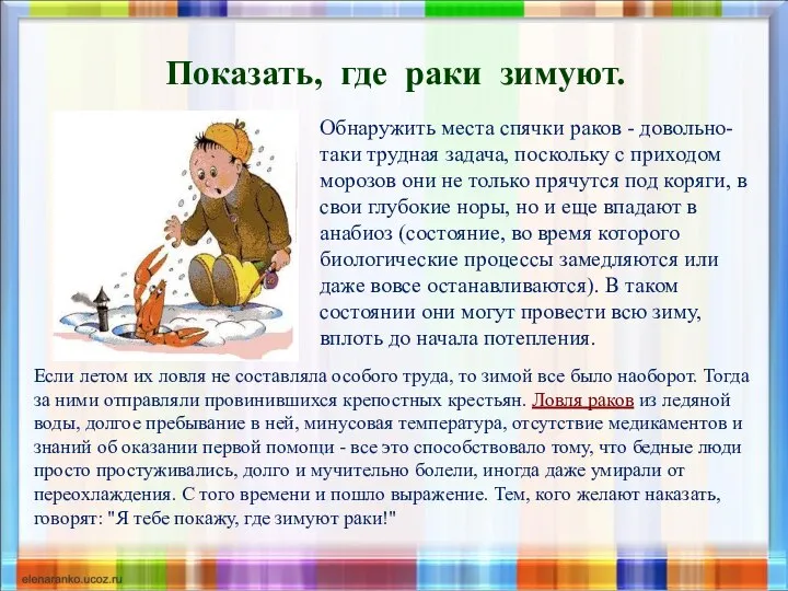 Показать, где раки зимуют. Обнаружить места спячки раков - довольно-таки трудная