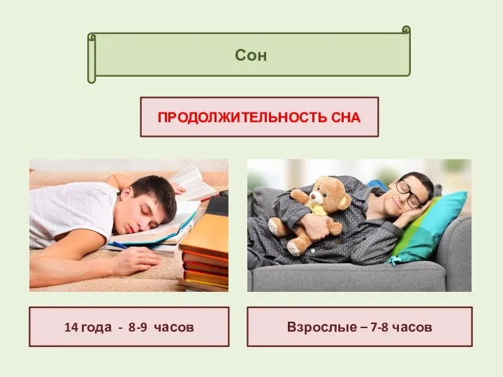 Сон ПРОДОЛЖИТЕЛЬНОСТЬ СНА 14 года - 8-9 часов Взрослые – 7-8 часов