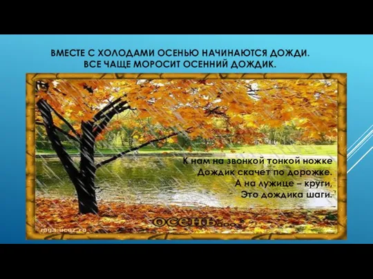 ВМЕСТЕ С ХОЛОДАМИ ОСЕНЬЮ НАЧИНАЮТСЯ ДОЖДИ. ВСЕ ЧАЩЕ МОРОСИТ ОСЕННИЙ ДОЖДИК.