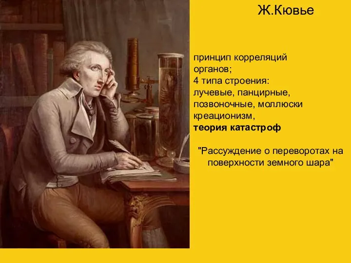 Ж.Кювье принцип корреляций органов; 4 типа строения: лучевые, панцирные, позвоночные, моллюски