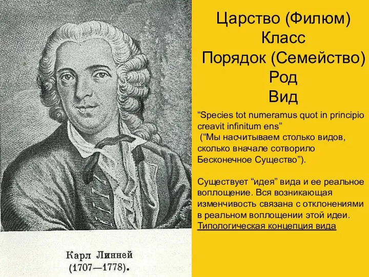 Царство (Филюм) Класс Порядок (Семейство) Род Вид “Species tot numeramus quot