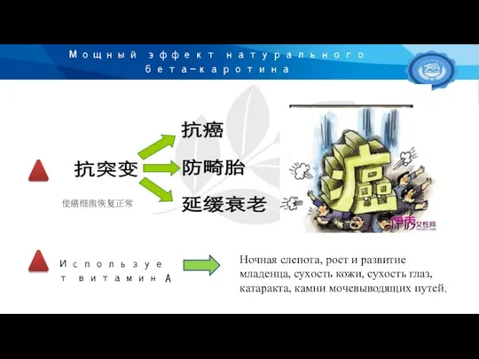 Мощный эффект натурального бета-каротина Использует витамин A 使癌细胞恢复正常 Ночная слепота, рост