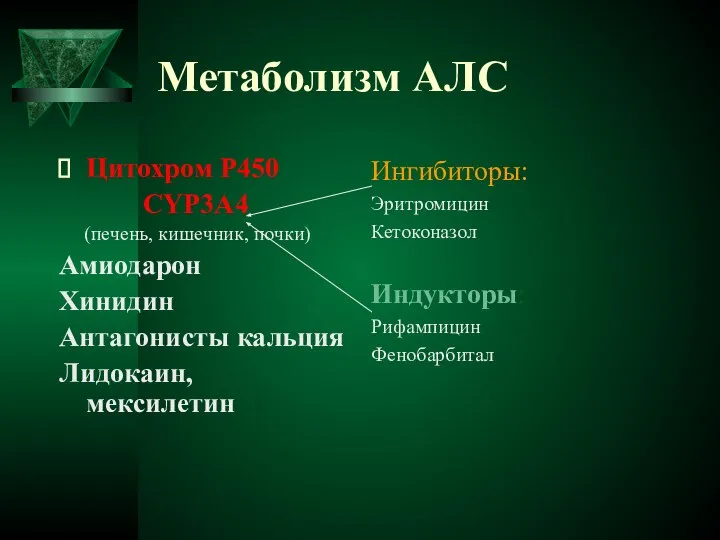 Метаболизм АЛС Цитохром Р450 CYP3A4 (печень, кишечник, почки) Амиодарон Хинидин Антагонисты