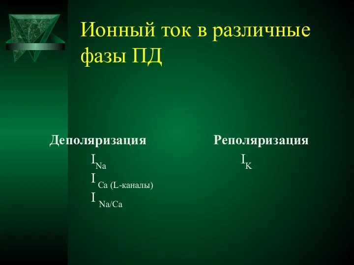 Ионный ток в различные фазы ПД Деполяризация INa I Ca (L-каналы) I Na/Ca Реполяризация IK