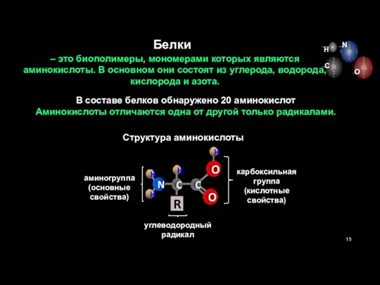 – это биополимеры, мономерами которых являются аминокислоты. В основном они состоят