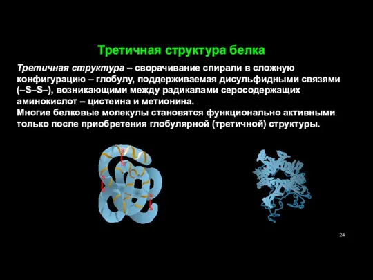 Третичная структура белка Третичная структура – сворачивание спирали в сложную конфигурацию