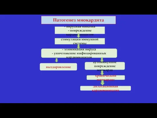 Патогенез миокардита - вирусная инвазия - повреждение кардиомиоцитов стимуляция иммунной системы