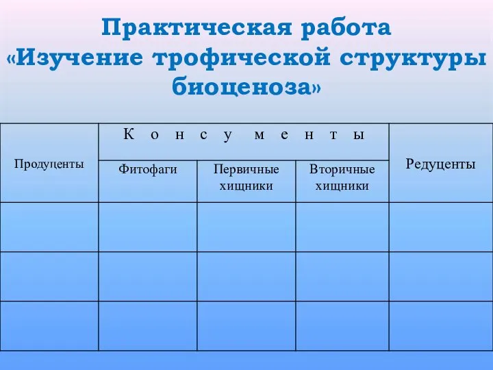 Практическая работа «Изучение трофической структуры биоценоза»