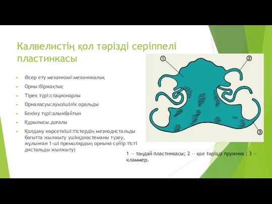 Калвелистің қол тәрізді серіппелі пластинкасы Әсер ету механизмі:механикалық Орны:біржақтық Тірек түрі:стационарлы