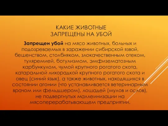 КАКИЕ ЖИВОТНЫЕ ЗАПРЕЩЕНЫ НА УБОЙ Запрещен убой на мясо животных, больных