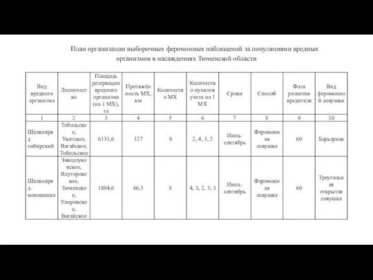 План организации выборочных феромонных наблюдений за популяциями вредных организмов в насаждениях Тюменской области