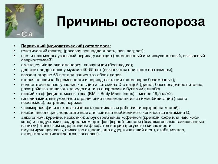 Причины остеопороза Первичный (идиопатический) остеопороз: генетический фактор (расовая принадлежность, пол, возраст);