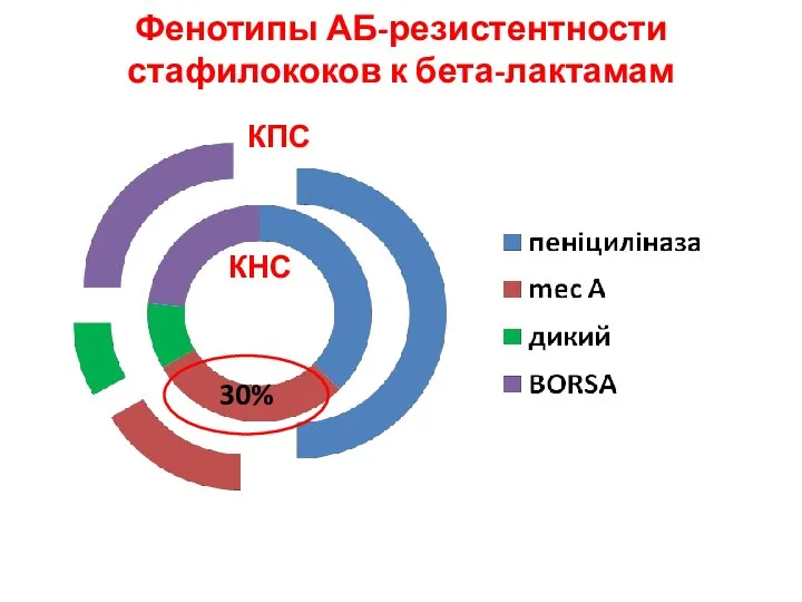 Фенотипы АБ-резистентности стафилококов к бета-лактамам КНС КПС до групи MLS 30%