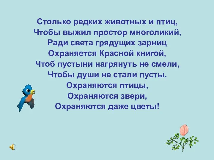 Столько редких животных и птиц, Чтобы выжил простор многоликий, Ради света