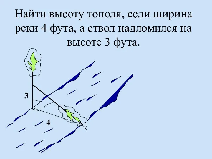 Найти высоту тополя, если ширина реки 4 фута, а ствол надломился