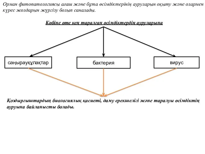 Орман фитопатологиясы ағаш және бұта өсімдіктерінің ауруларын оқыту және олармен күрес