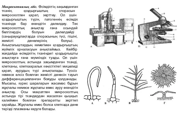 Микроскопиялық әдіс. Өсімдіктің зақымданған тканін, қоздырғыштың спорасын микроскоппен қарап, зерттеу. Ол