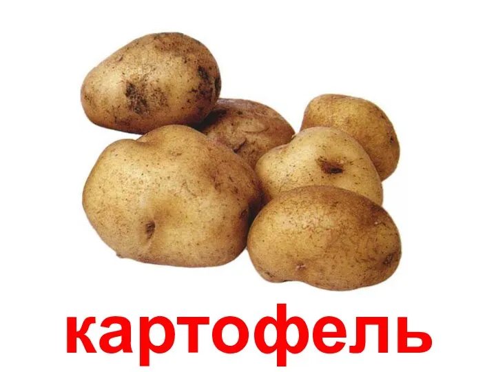 картофель