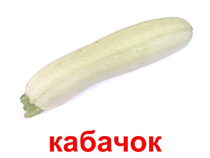 кабачок