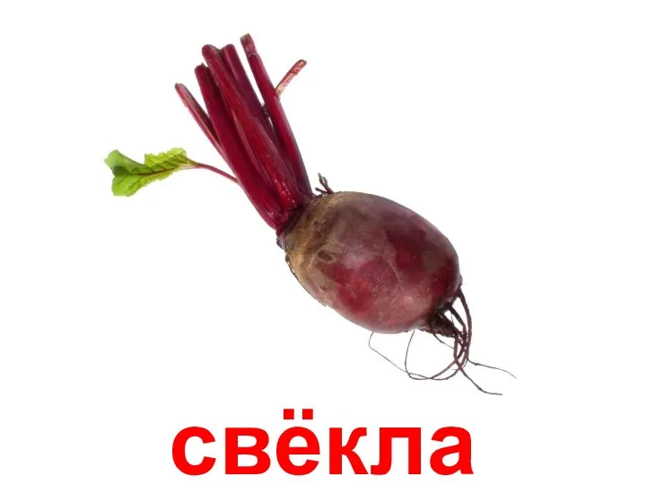 свёкла