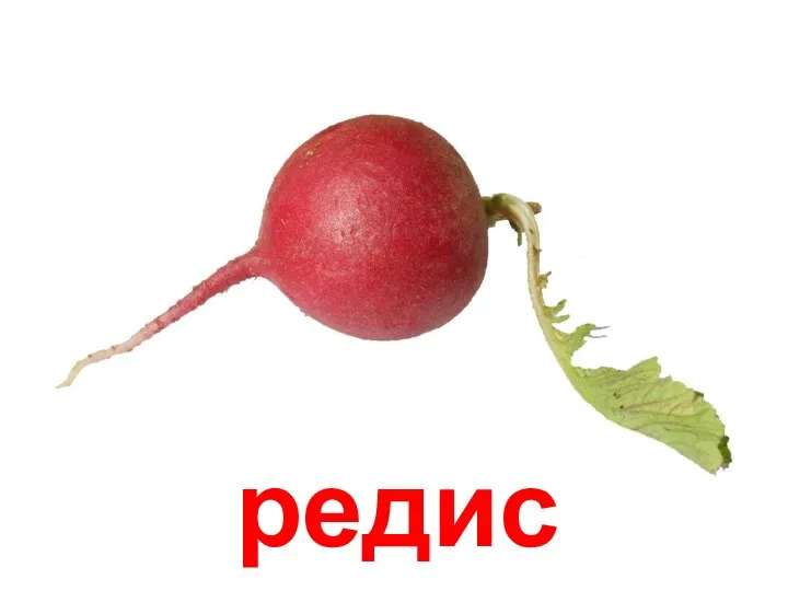 редис