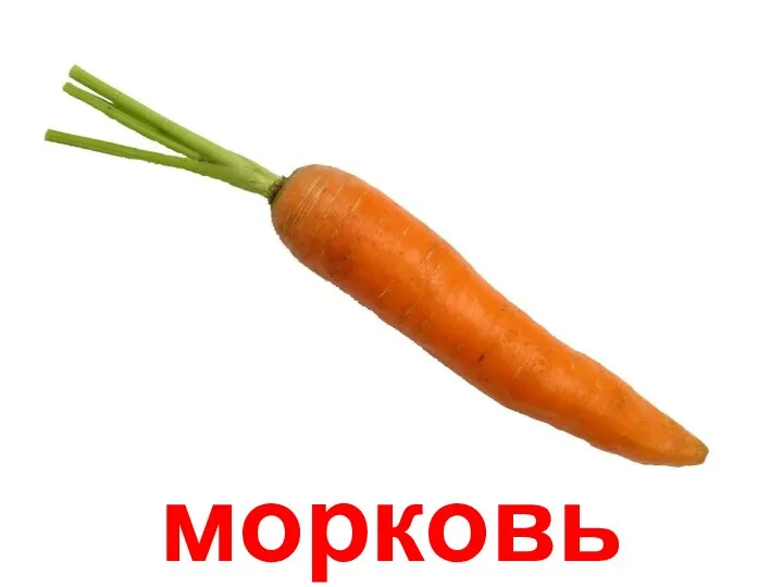 морковь