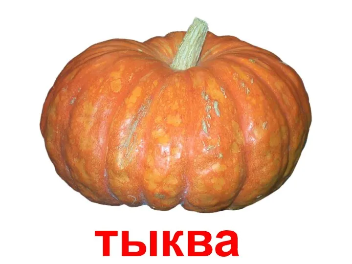 тыква