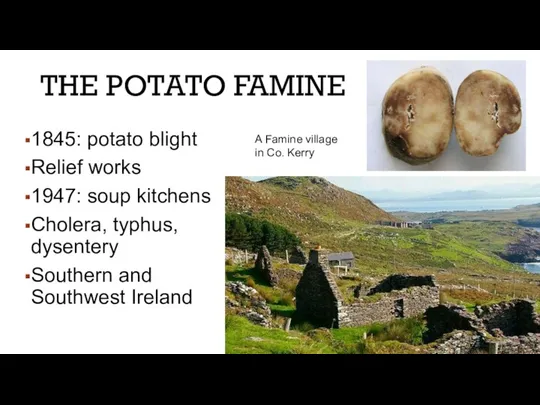 THE POTATO FAMINE 1845: potato blight Relief works 1947: soup kitchens