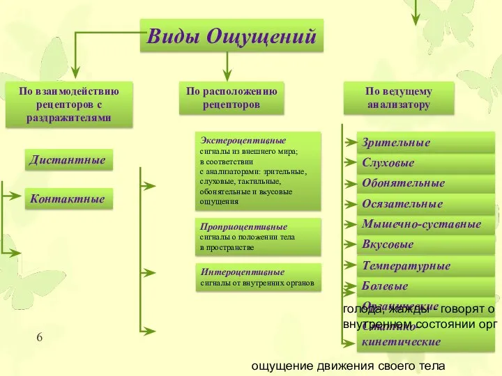 Виды Ощущений По взаимодействию рецепторов с раздражителями По расположению рецепторов По