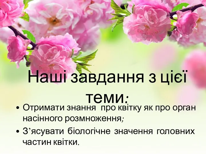 Наші завдання з цієї теми: Отримати знання про квітку як про