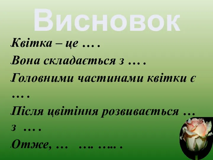 Висновок Квітка – це … . Вона складається з … .