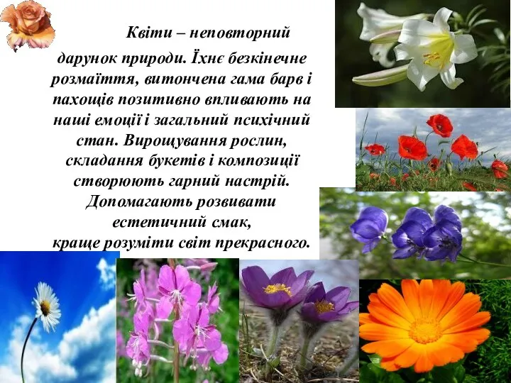 Квіти – неповторний дарунок природи. Їхнє безкінечне розмаїття, витончена гама барв