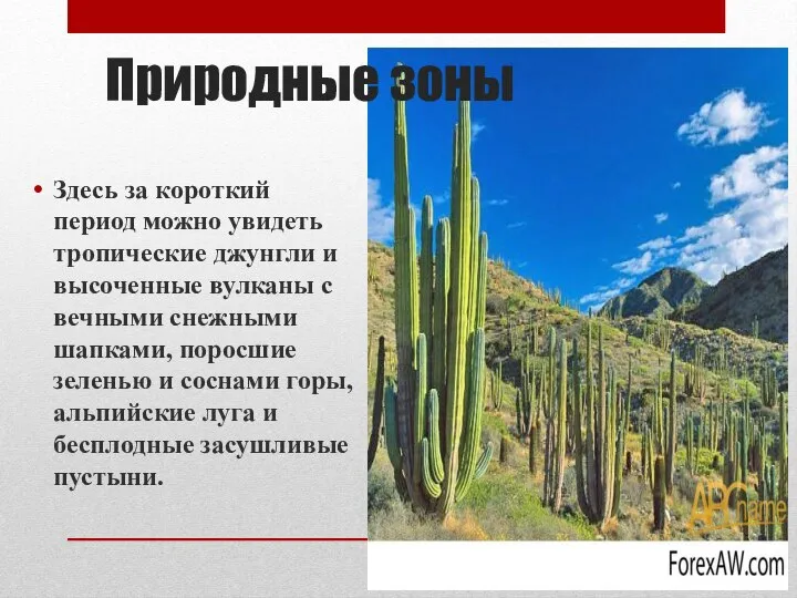 Природные зоны Здесь за короткий период можно увидеть тропические джунгли и