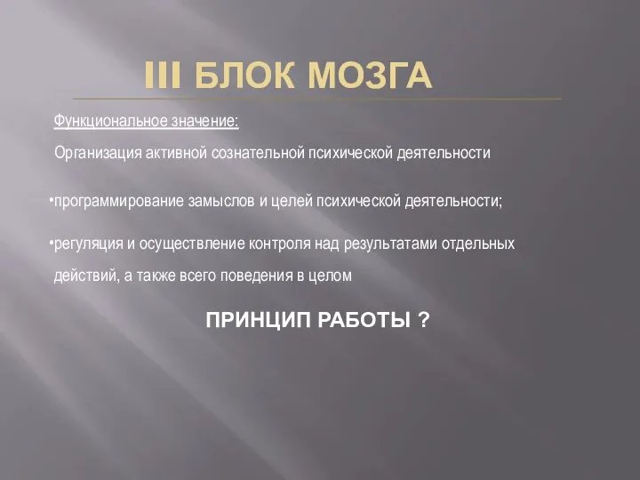 III БЛОК МОЗГА Функциональное значение: Организация активной сознательной психической деятельности программирование