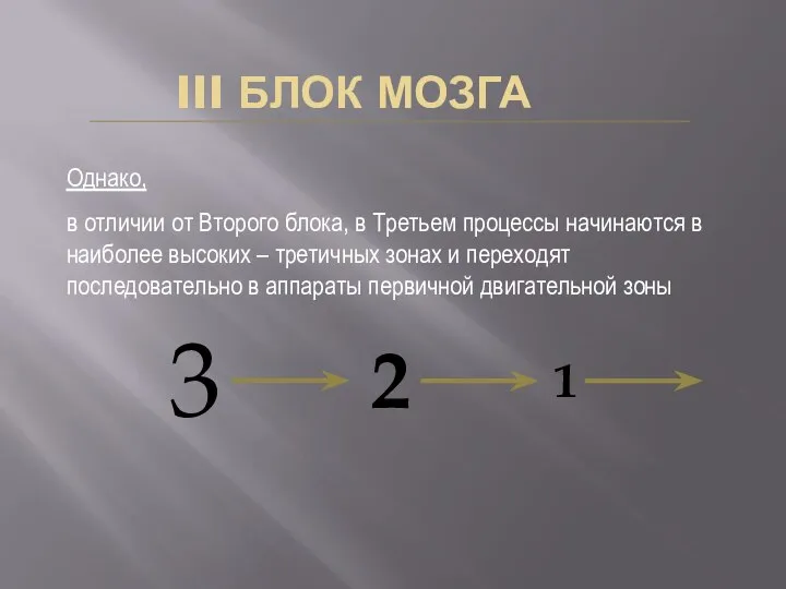 III БЛОК МОЗГА Однако, в отличии от Второго блока, в Третьем