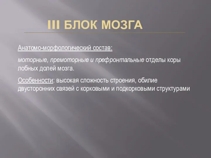 III БЛОК МОЗГА Анатомо-морфологический состав: моторные, премоторные и префронтальные отделы коры