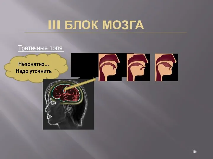 III БЛОК МОЗГА Третичные поля: Непонятно… Надо уточнить Объ яс ни те по жа луй ста