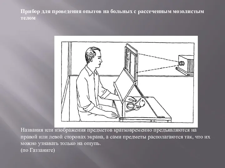 Прибор для проведения опытов на больных с рассеченным мозолистым телом Названия