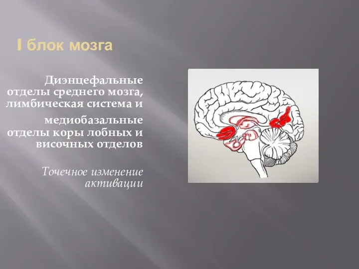 I блок мозга Диэнцефальные отделы среднего мозга, лимбическая система и медиобазальные