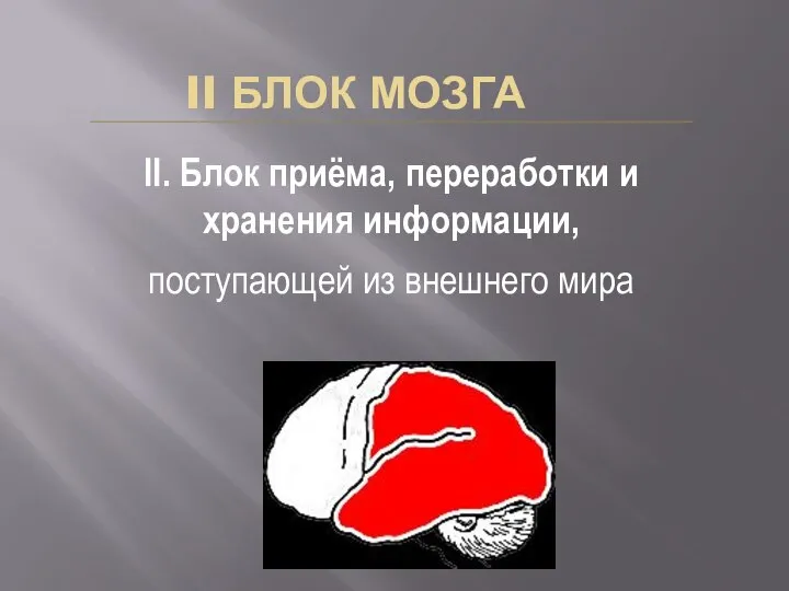 II. Блок приёма, переработки и хранения информации, поступающей из внешнего мира II БЛОК МОЗГА