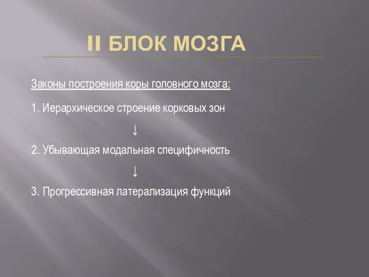 II БЛОК МОЗГА Законы построения коры головного мозга: 1. Иерархическое строение