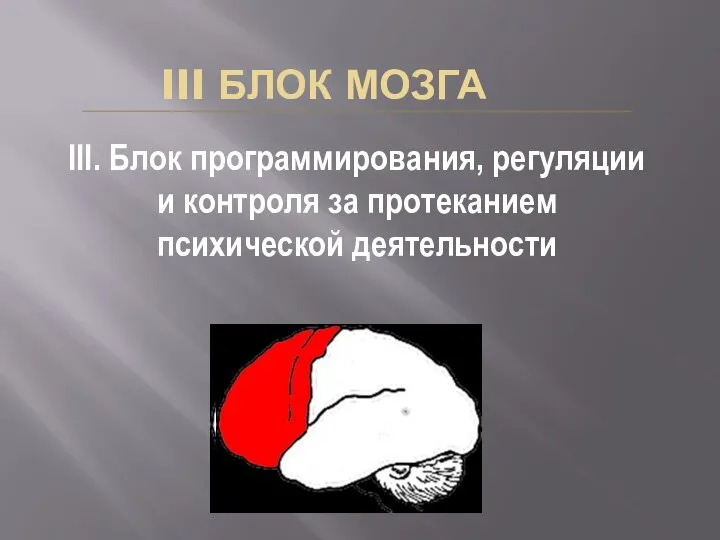 III. Блок программирования, регуляции и контроля за протеканием психической деятельности III БЛОК МОЗГА