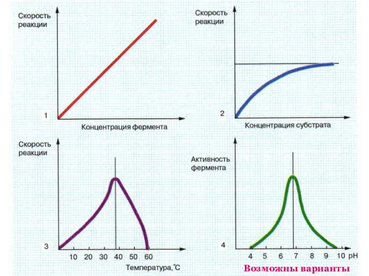 Возможны варианты