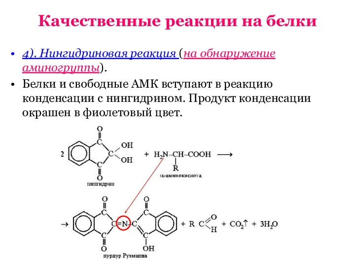 Качественные реакции на белки 4). Нингидриновая реакция (на обнаружение аминогруппы). Белки