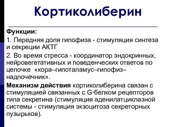 Кортиколиберин Функции: 1. Передняя доля гипофиза - стимуляция синтеза и секреции