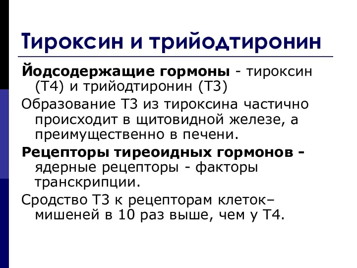 Тироксин и трийодтиронин Йодсодержащие гормоны - тироксин (T4) и трийодтиронин (Т3)