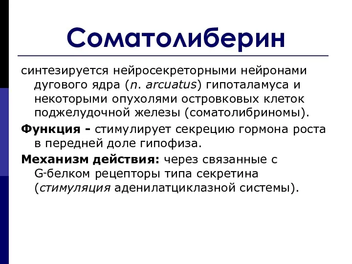 Соматолиберин синтезируется нейросекреторными нейронами дугового ядра (n. arcuatus) гипоталамуса и некоторыми